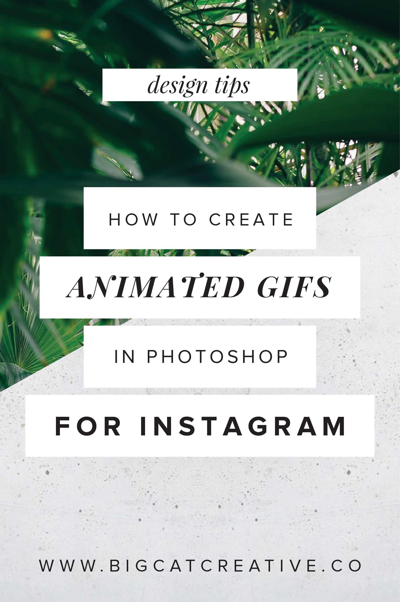 How to create animated GIFs in Photoshop for Instagram — Big Cat Creative -  Squarespace Templates & Resources